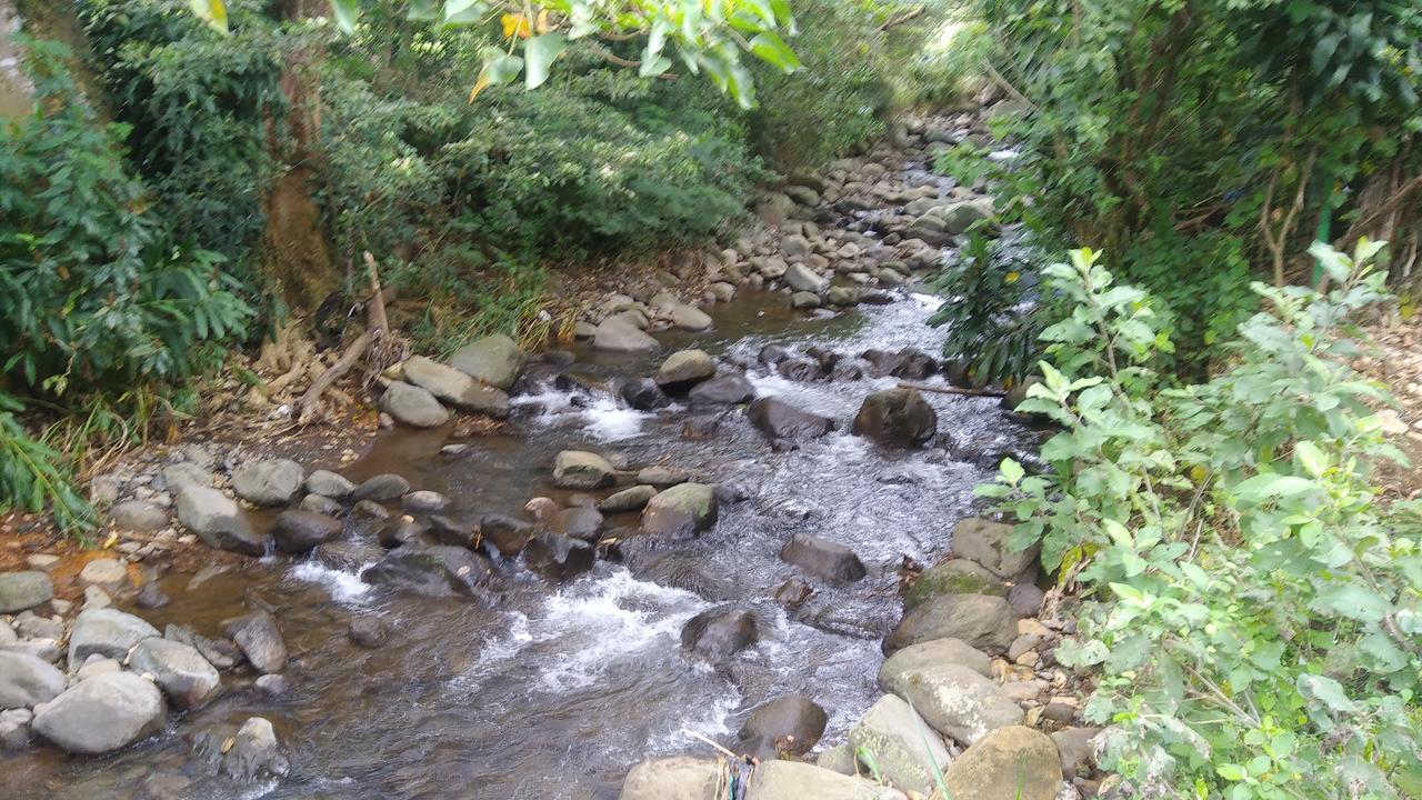 Mountain Lodge Chetica San Jeronimo  Ngoại thất bức ảnh